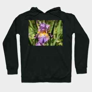 Lavender Iris 1 Hoodie